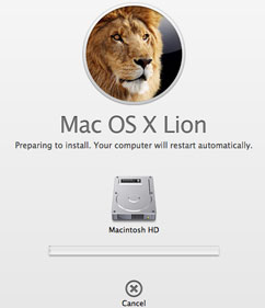 Lion Upgrade